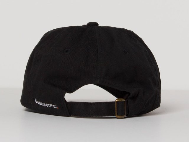 Dad Hat view 2