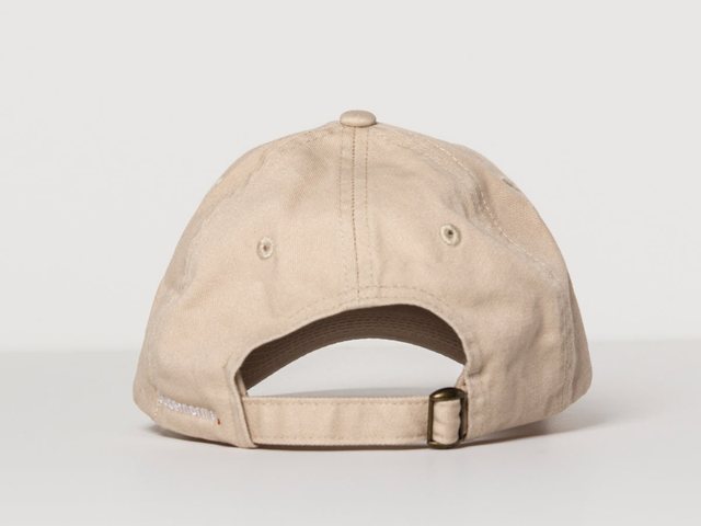 Dad Hat view 4