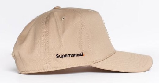 Two-Toned Snapback — Tan view 3