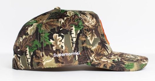 Two-Toned Snapback — Woodland Camo view 3