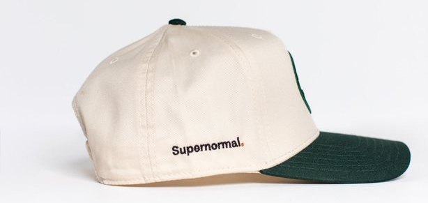 Two-Toned Snapback — Army Green view 2